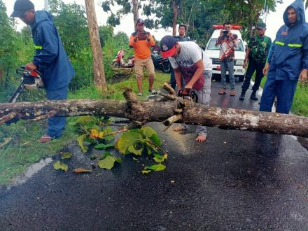 FPRB Bangunharjo: Tangguh dan Sigap Menangani Risiko Bencana